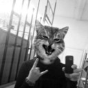 ���������� ����������, ���� ������� ����, 41 ���, ������������ ��� ������, ����� � ���������, c�������� ���������