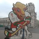  ,   , 38 ,   ,   , c , 