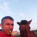 ���������� �����, ���� ������� Ziko, 46 ���, ������������ ��� ������, ����� � ���������