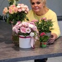  -,   , 55 ,   ,   