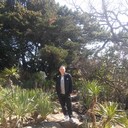 ���������� ����, ���� ������� ����, 43 ����, ������������ ��� ������, ����� � ���������, c�������� ���������