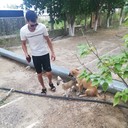 ���������� �������, ���� ������� ����, 36 ���, ������������ ��� ����� � ���������, c�������� ���������, ���������