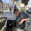 ���������� ����, ���� ������� �������, 32 ����, ������������ ��� c�������� ���������