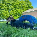 ���������� �������, ���� ����� ������ �����, 25 ���, ������������ ��� ������, ����� � ���������