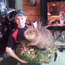 ���������� ��������, ���� ������� Vova, 38 ���, ������������ ��� ������, ����� � ���������, c�������� ���������, ���������