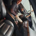 ���������� ������, ���� ������� ����, 44 ����, ������������ ��� ������, c�������� ���������