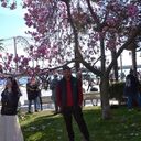 ���������� �������, ���� ������� ������, 39 ���, ������������ ��� ������, ����� � ���������