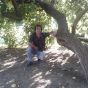   ,   , 49 ,  