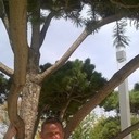 ���������� ���������, ���� ������� ������, 57 ���, ������������ ��� ����� � ���������, c�������� ���������, ���������