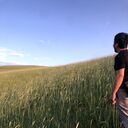 ���������� �������, ���� ����� Maqsud, 22 ����, ������������ ��� ������, ����� � ���������