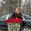 ���������� ������, ���� ������� �����, 49 ���, ������������ ��� c�������� ���������, ���������