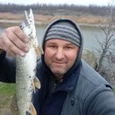 ���������� ��������, ���� ������� ������, 46 ���, ������������ ��� ������, ����� � ���������, c�������� ���������