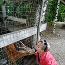 ���������� ���������, ���� ������� �������, 52 ����, ������������ ��� c�������� ���������