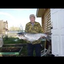  ,   , 59 ,   ,   , c 
