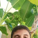 ���������� ����, ���� ������� �����, 39 ���, ������������ ��� ������, ����� � ���������