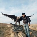 ���������� �������, ���� ������� ������, 37 ���, ������������ ��� ����� � ���������, c�������� ���������