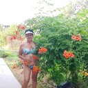 ���������� ��������, ���� ������� ������, 51 ���, ������������ ��� ����� � ���������