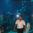 ���������� ����, ���� ������� Samir, 45 ���, ������������ ��� ������, ����� � ���������, c�������� ���������