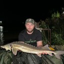 ���������� ���������, ���� ������� ���������, 29 ���, ������������ ��� ����� � ���������, c�������� ���������