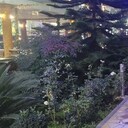 ���������� ������������, ���� ������� ��������, 36 ���, ������������ ��� ������, ����� � ���������