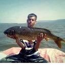 ���������� �����������-��-�����, ���� ������� ����, 36 ���, ������������ ��� ������, ����� � ���������, c�������� ���������