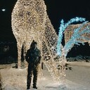 ���������� ������-��-����, ���� ������� ������, 35 ���, ������������ ��� ������, ����� � ���������