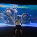 ���������� ����, ���� ������� ������, 26 ���, ������������ 