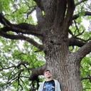 ���������� ���������, ���� ������� ����, 38 ���, ������������ ��� ������, ����� � ���������, c�������� ���������