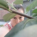  Brzezie,   , 39 ,  