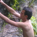 ���������� ������, ���� ������� 995593008582, 36 ���, ������������ ��� ������, ����� � ���������, c�������� ���������, ���������