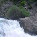 ���������� ������, ���� ������� �������, 31 ���, ������������ ��� ������, ����� � ���������