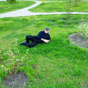 ���������� �����, ���� ������� ����, 35 ���, ������������ ��� ������, ����� � ���������, c�������� ���������