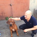  ,   , 40 ,  