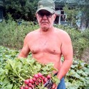  ,   , 61 ,   ,   , c , 