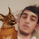 ���������� ����� �������, ���� ������� ����, 27 ���, ������������ ��� ������, ����� � ���������