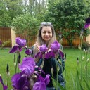  --,   , 37 ,   ,   , c 