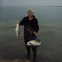 ���������� ������, ���� ������� ������, 43 ����, ������������ ��� ������, ����� � ���������, c�������� ���������