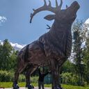 ���������� �����-���������, ���� ������� �������, 60 ���, ������������ ��� ������