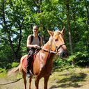 ���������� �����������, ���� ������� �����, 43 ����, ������������ ��� ������, ����� � ���������, c�������� ���������, ���������