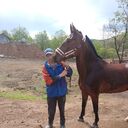  ,   , 46 ,   ,   , c 