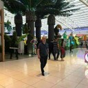  ,   Firuz, 50 ,   ,   , c 