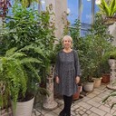 ���������� �����, ���� ������� �������, 71 ���, ������������ ��� c�������� ���������, ���������