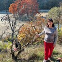  ,   , 59 ,   c 