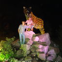 ���������� �����������, ���� ������� �������, 38 ���, ������������ ��� ������, ����� � ���������, c�������� ���������