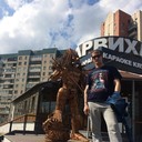 ���������� ���������, ���� ������� ������, 50 ���, ������������ 