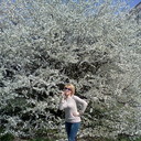 ���������� �����, ���� ������� �������, 54 ����, ������������ ��� ������, ����� � ���������, c�������� ���������