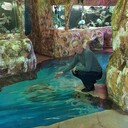 ���������� �����������, ���� ������� ���������, 65 ���, ������������ ��� ������, ����� � ���������