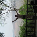 ���������� �����, ���� ������� ������, 36 ���, ������������ ��� ������, ����� � ���������, c�������� ���������, ���������