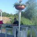 ���������� ���������, ���� ������� Maxim, 37 ���, ������������ ��� ������, ����� � ���������, c�������� ���������