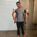 ���������� ���������, ���� ������� ������, 44 ����, ������������ ��� ����� � ���������, c�������� ���������